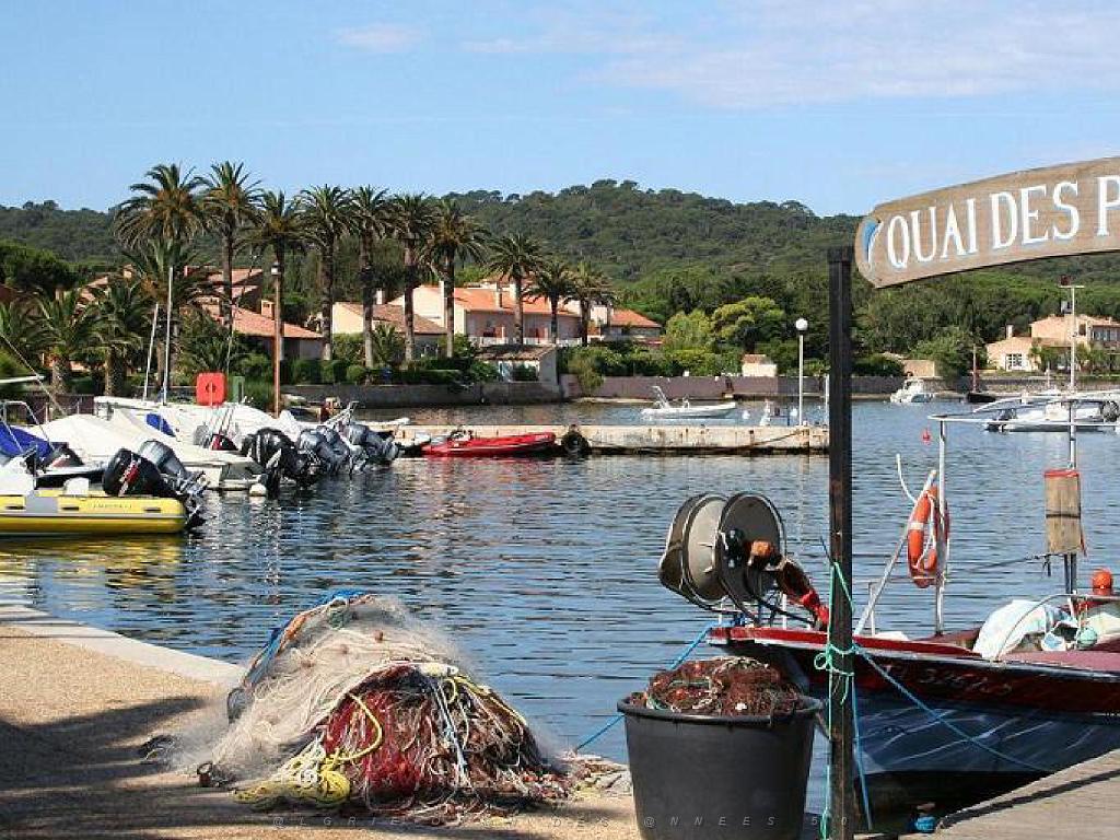 183 ILE DE PORQUEROLLES -1_000032.jpg